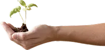 Hand eco